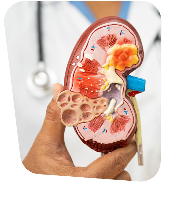 endocrinologo-con-experiencia-en-insuficiencia-adrenal.png