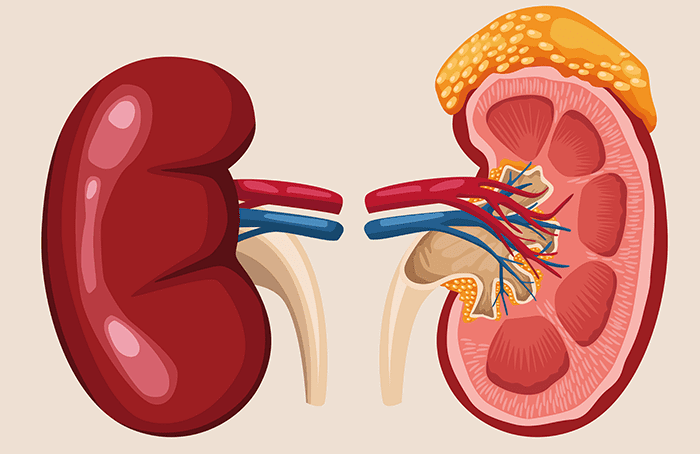 Adenomas Suprarrenales